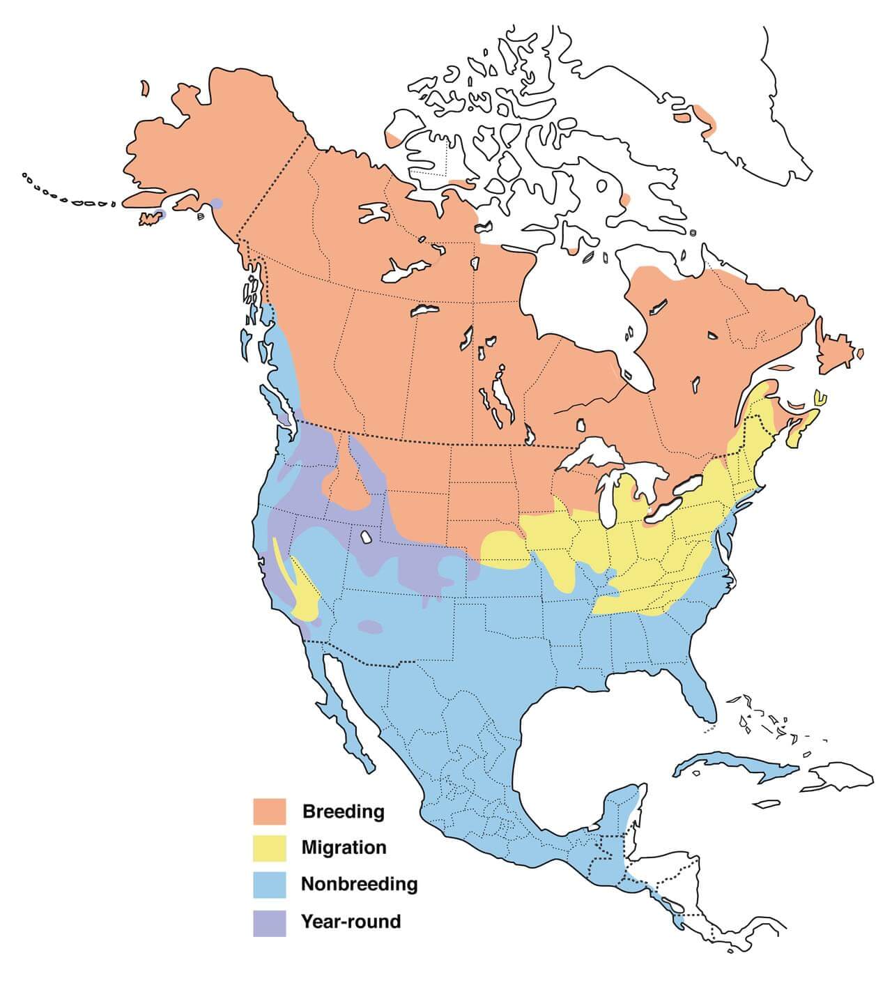Northern Pintail Range Map